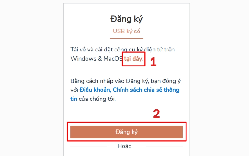 Tải ứng dụng gia hạn visa Việt Nam online