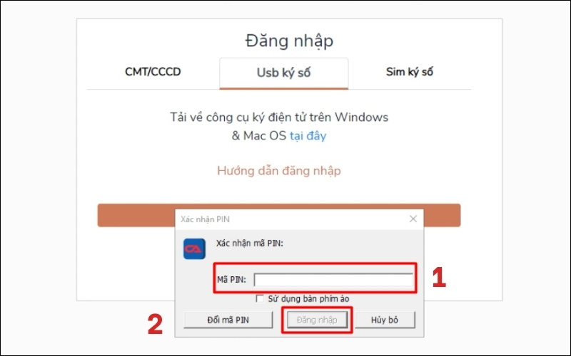 Nhập mã PIN gia hạn visa Việt Nam online