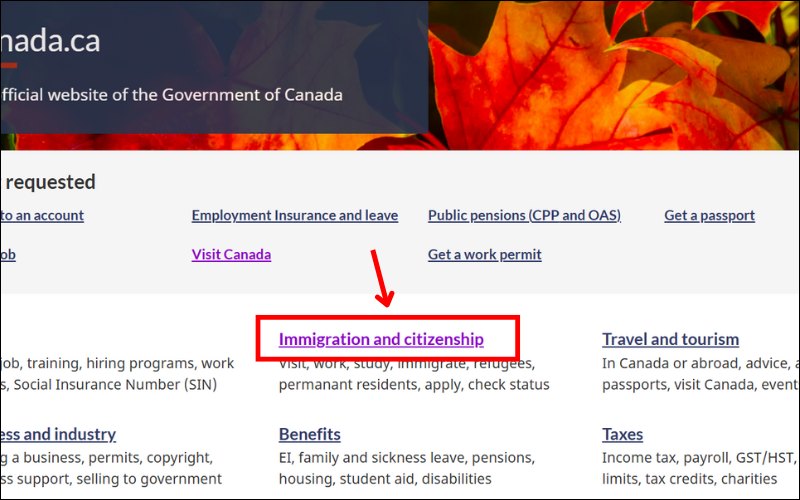 Kiểm tra Visa Canada online