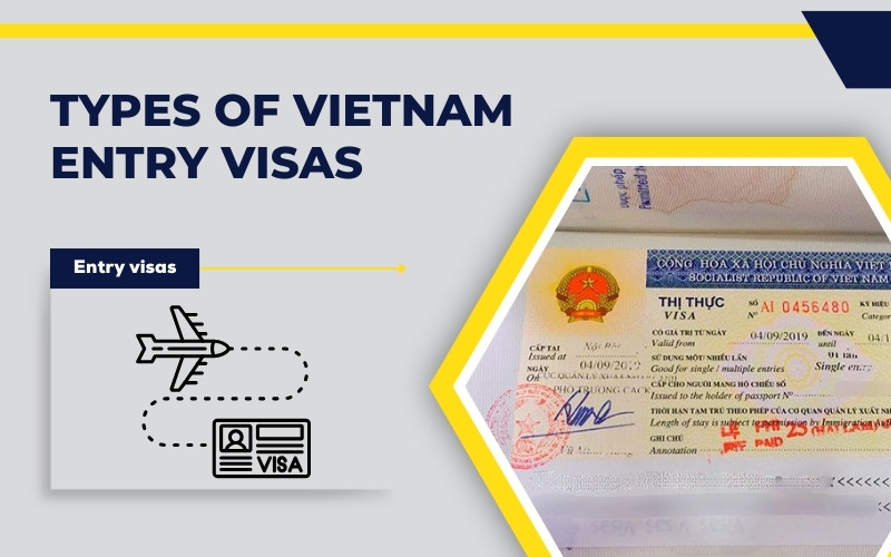 Classification of Vietnam visas by purpose of entry​