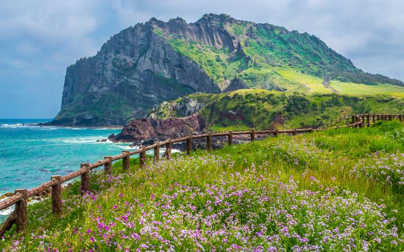 Đảo Jeju - Địa điểm lý tưởng để du lịch Hàn Quốc tự túc