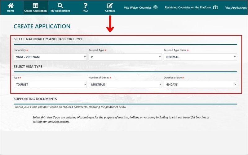 Điền thông tin hộ chiếu và diện visa